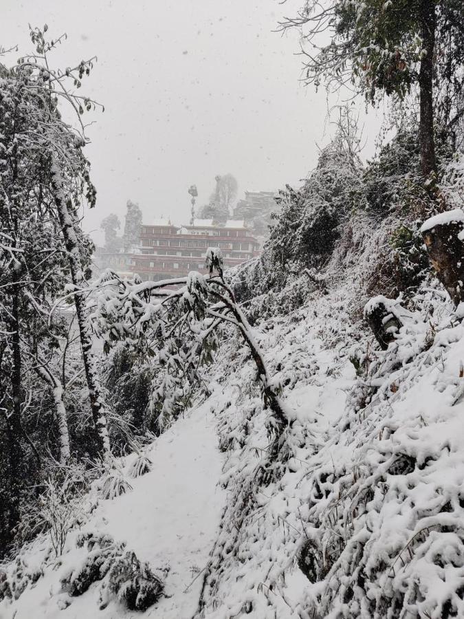 Mountain Chalet Darjeeling  Esterno foto